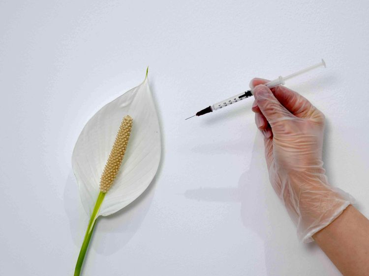 Gloved hand holding a fine syringe used for Jalupro Classic intradermal injections